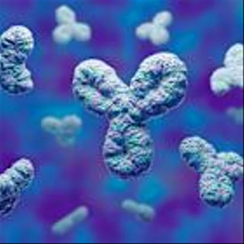 Here's Why You Should Retain Merit Medical Stock in Your Portfolio Now