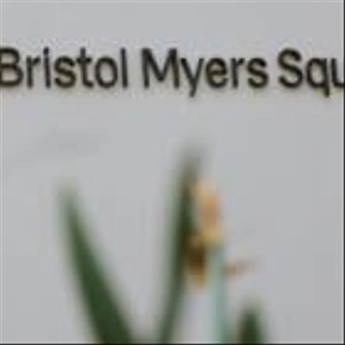 Bristol Myers partners with Microsoft for AI-driven lung cancer detection