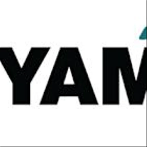 RYAM Reports First Quarter 2025 Results