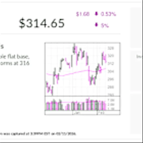 Stock Of The Day Shakes Off Earnings Slide, Trades Near Buy Point