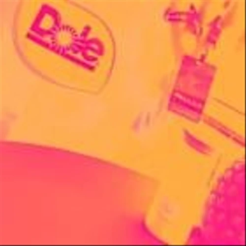 DOLE Q1 Earnings Call: Guidance Raised as Diversified Segments Offset Fresh Fruit Headwinds