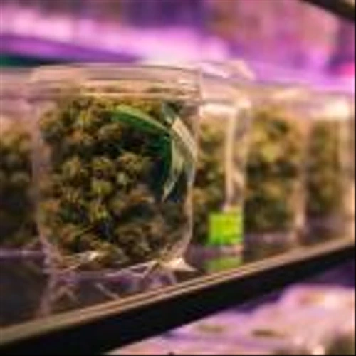 Organigram Holdings Inc. (OGI): A Bull Case Theory