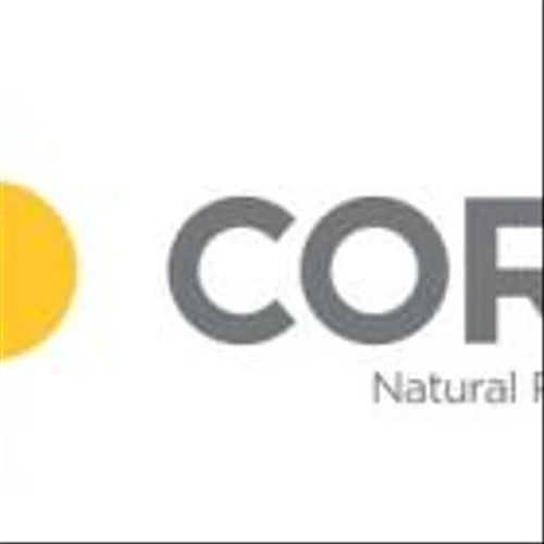 Core Natural Resources to Announce First Quarter 2025 Results on May 8