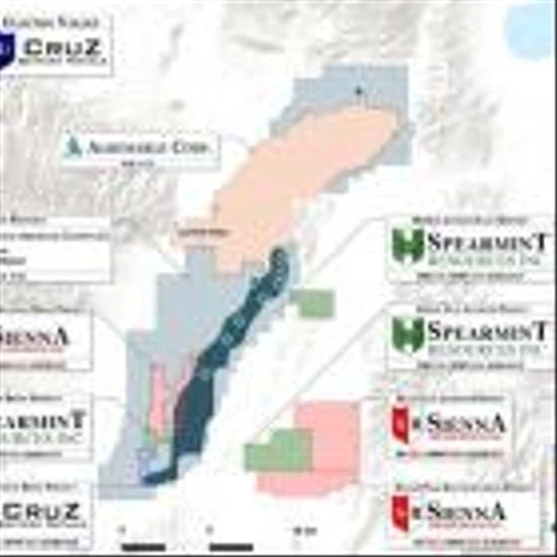Cruz Battery Metals: Clayton Valley, Nevada Lithium Update