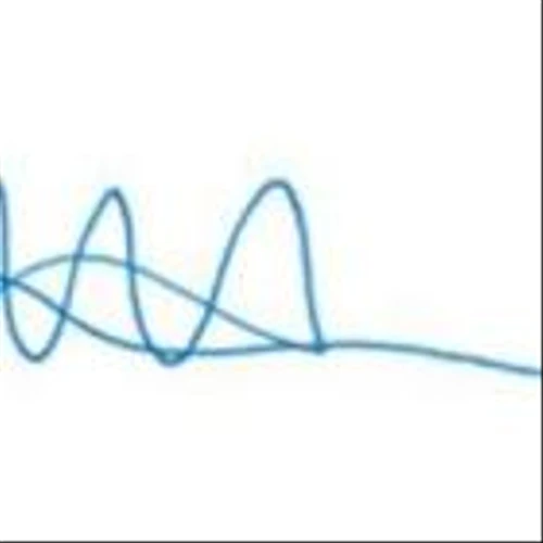 Flutter Q1 2025 - Shareholder Letter