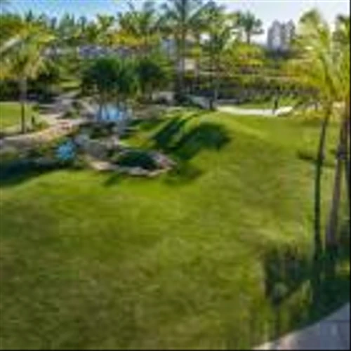 Howard Hughes Announces the Opening of Victoria Ward Park Makai and Updated Land Use and Density Guidelines in Ward Village®