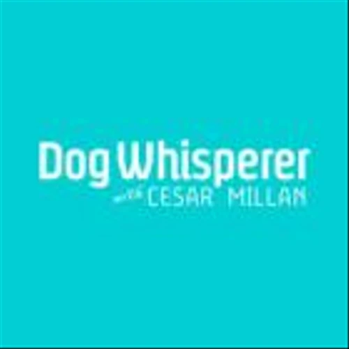 Cineverse Debuts New FAST Channel: Dog Whisperer with Cesar Millan