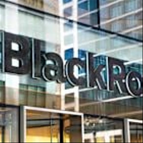 More than 200 S&P 500 companies scrubbed 'diversity' and 'equity' from annual reports in 2025