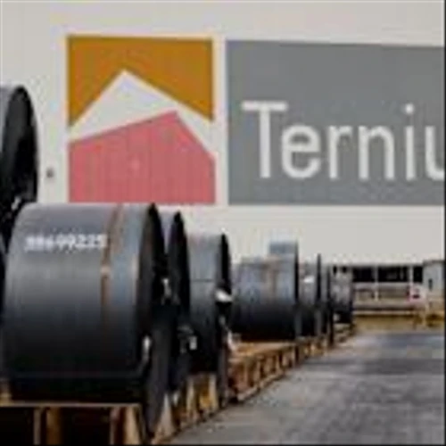 Steelmaker Ternium pushes for stronger USMCA trade pact in face of tariffs
