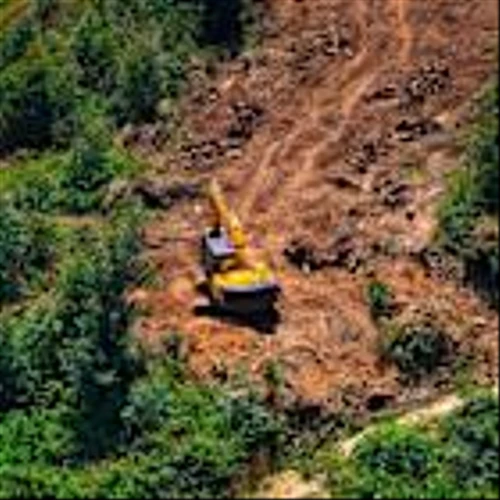 Mondelez urges further delay to EU deforestation law