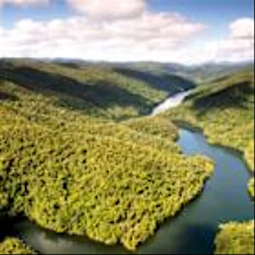 IFF and Reservas Votorantim Sign Bioprospecting Partnership in Brazil