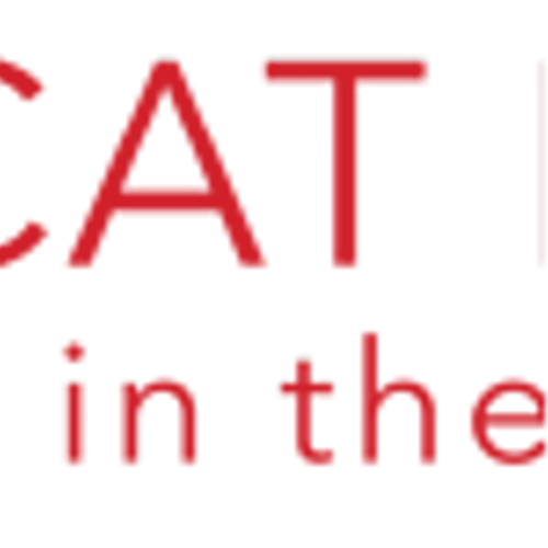 Red Cat Holdings Inc (RCAT) Q3 2025 Earnings Call Highlights: Drone Production Takes Flight ...