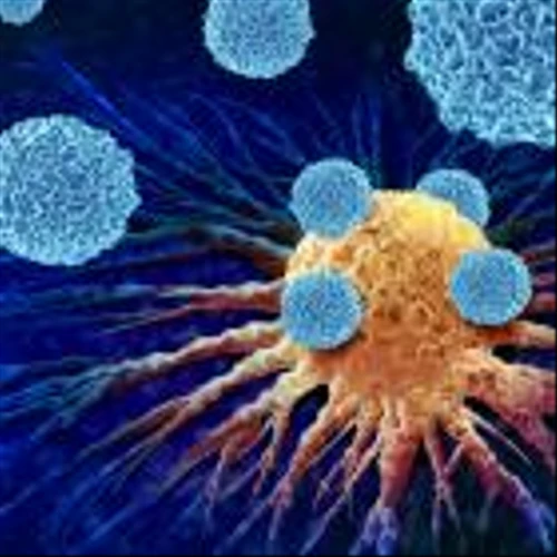 ONCY Stock Up on Regulatory Update From Breast Cancer Program