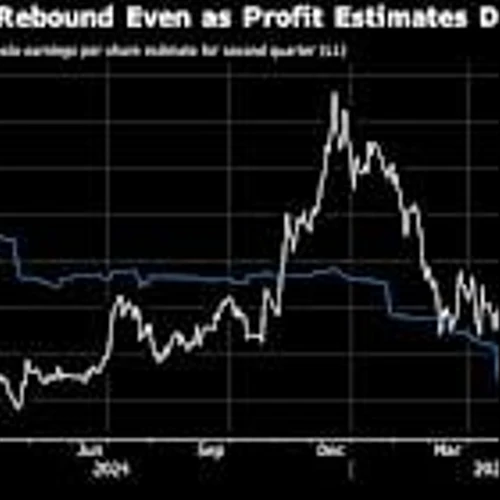 Tesla’s Darkening Outlook to Test Robotaxi Vision Pushed by Musk