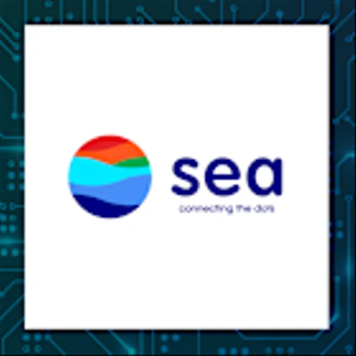 SEA Q4 Earnings Call Highlights