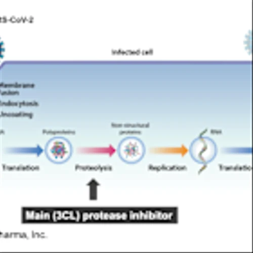 COCP: Norovirus Challenge Study Planned for 2025…