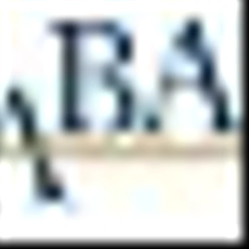 Primis Financial Corp (FRST) Q1 2025 Earnings Call Highlights: Strong Mortgage Growth and ...