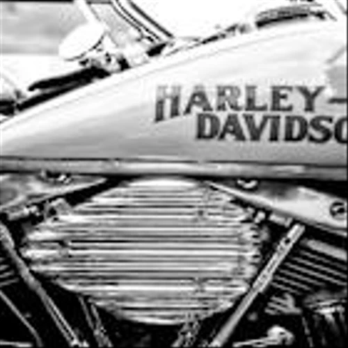 Harley-Davidson Q2 Earnings Miss Estimates, Revenues Fall Y/Y