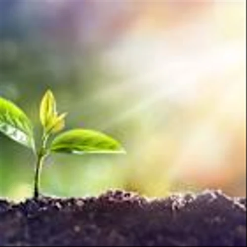 New to Growth Stocks? Here's 1 Every Investor Should Have on Their Radar.