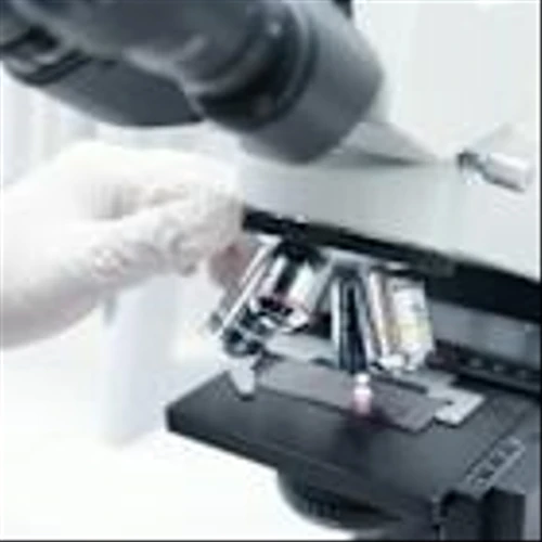 Schrödinger, Inc. (SDGR) Transition to Licensing Model Triggers Robust Revenue Growth