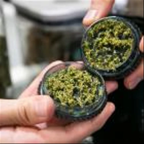 Cannabis stocks fall as Florida marijuana legalization fails