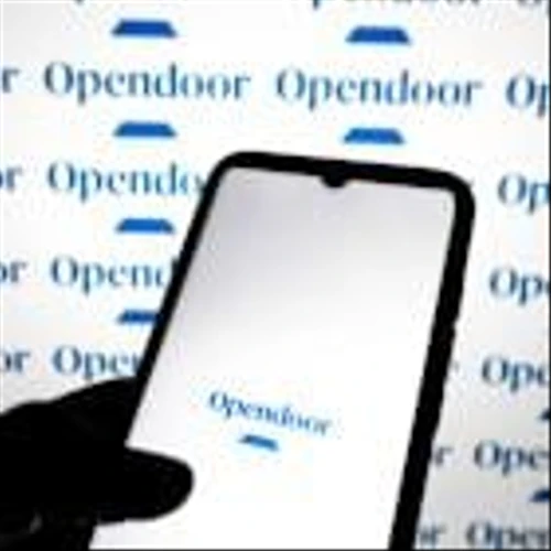 Opendoor can be the Amazon of housing, investor Eric Jackson says