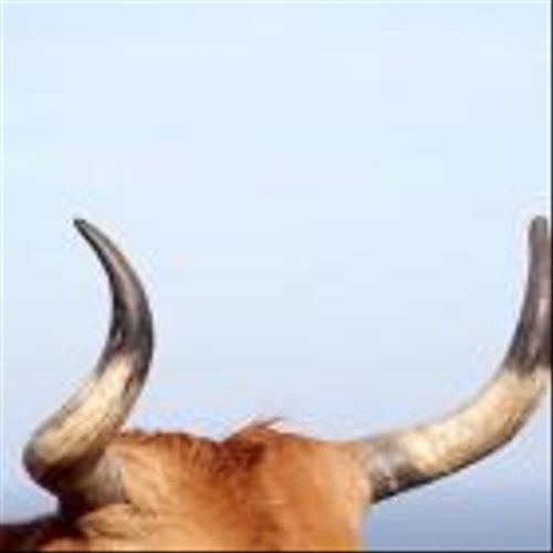 KULR Expands Bitcoin Holdings to 610 BTC, Reports 167% BTC Yield