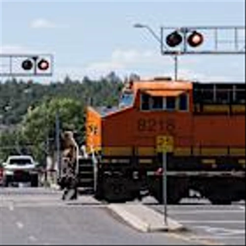 Warren Buffett Quashes BNSF-CSX Merger Rumors as Railroads Roll Out Coast-to-Coast Services