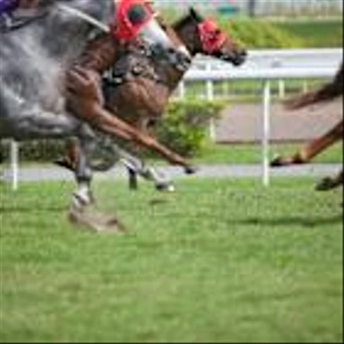 Why Pony AI Stock Keeps Racing Higher