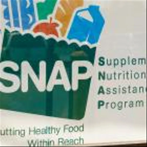 Aldi, Costco and 3 Other Budget-Friendly Stores That Accept SNAP
