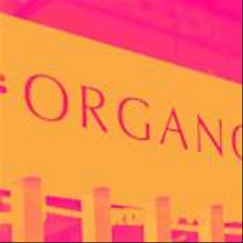 Why Organon (OGN) Stock Is Trading Up Today
