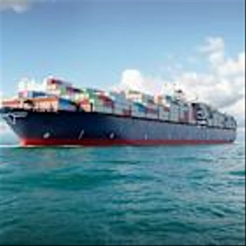 Why Zim Integrated Shipping Services Was Winning Big This Week