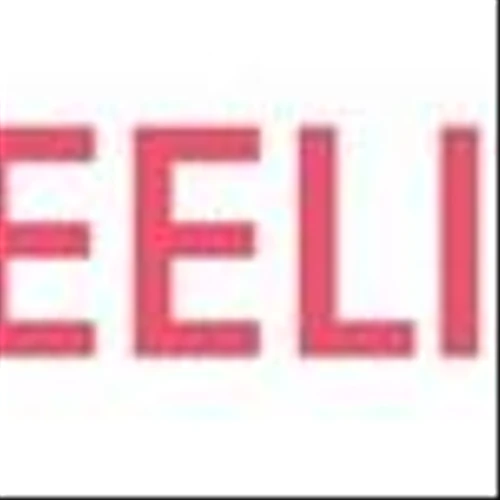 Beeline Holdings Reports Full Year 2024 Results and Provides Business Update