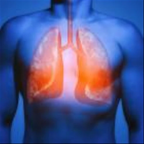 Sutro Biopharma (STRO) Rises 9% in the Past Week: Here's Why
