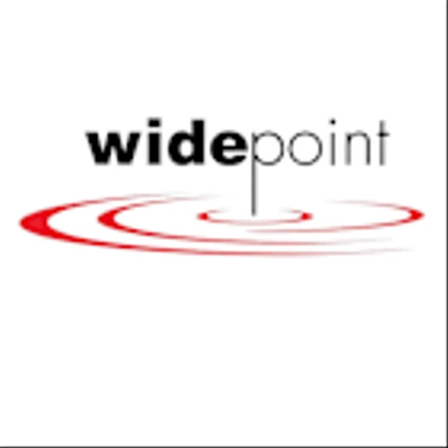 WidePoint Corp (WYY) Q1 2025 Earnings Call Highlights: Strategic Wins Amidst Financial Adjustments