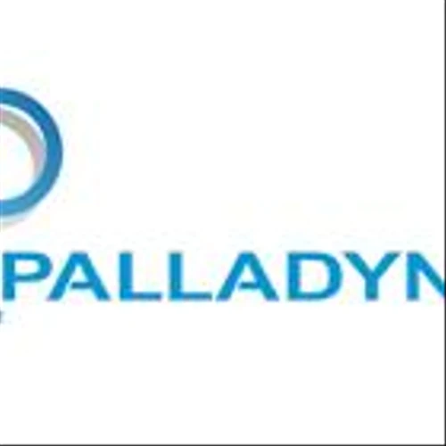 Palladyne AI Corp. Receives Additional Funding Via U.S. Air Force Contract