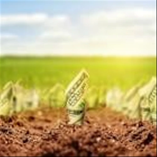 3 Dividend Stocks to Hold for the Next 10 Years