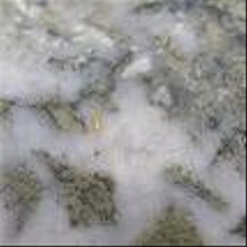 NEW FOUND INTERCEPTS 105 G/T AU OVER 2.10M & 10.4 G/T AU OVER 4.45M AT "PISTACHIO" ZONE AT KINGSWAY, HITS 36.7 G/T AU OVER 2M AT JACKPOT