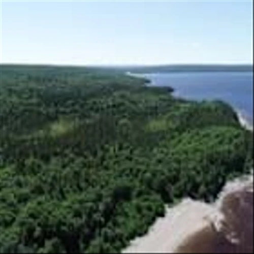 Nature Conservancy of Canada launches largest private conservation securement in Newfoundland and Labrador