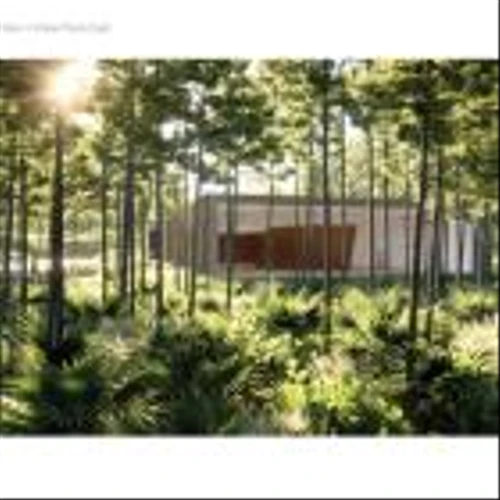 The St. Joe Company Announces the Longleaf Art Park at the Watersound Origins Community