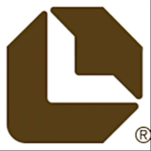 Distribution Solutions Group Inc (DSGR) Q1 2025 Earnings Call Highlights: Revenue Growth and ...