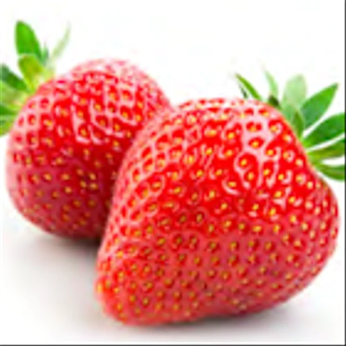 Sysco 2024 Sustainability Report: Responsibly Managing Pests