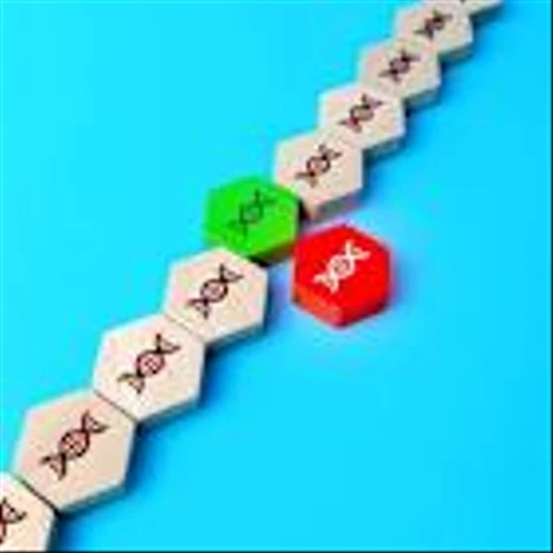 Patient dies in Rocket’s Phase II Danon disease gene therapy trial