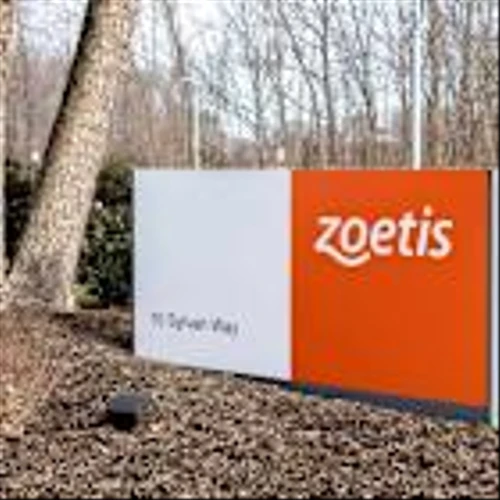 Is Zoetis Stock Underperforming the Nasdaq?