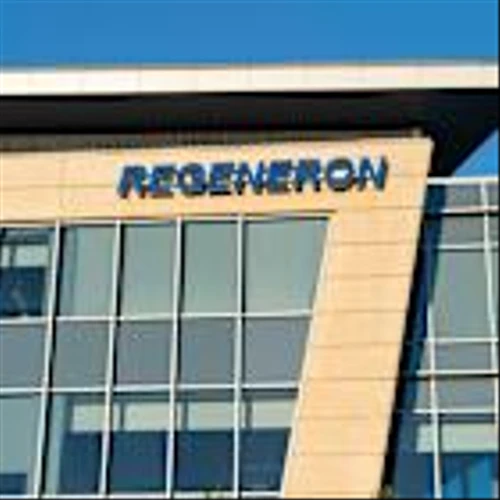 Manufacturing issues at Novo facility disrupt Regeneron drug review