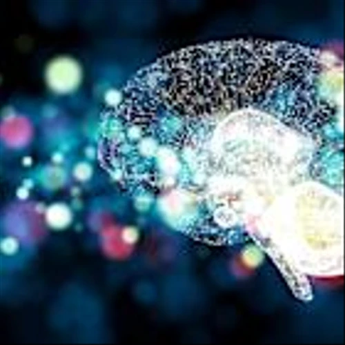 Could This AI Chipmaker Be the Market's Next Trillion-Dollar Contender?