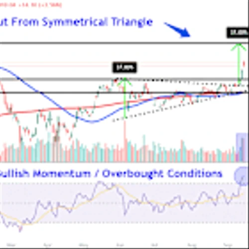 Tesla Stock Near Its 2025 High After a 5-Day Win Streak—Key Levels for Investors to Monitor